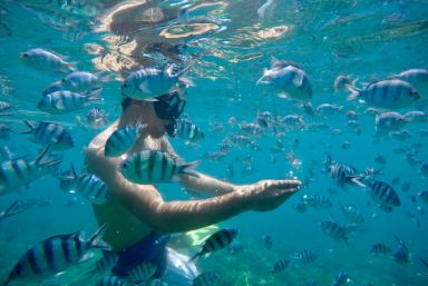 Snorkelling in Jamaica